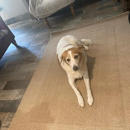 Cornerstone House Σπίτι διακοπών